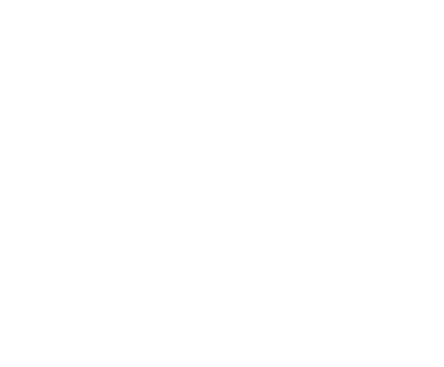 Invictus Softwares